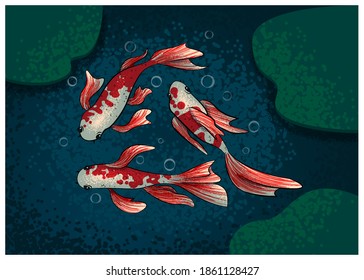 Three Swimming Koi Fish. Vector Illustration