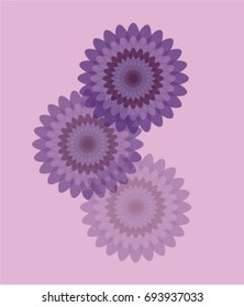 three tender and lovable violet, purple gradient flowers on a light background