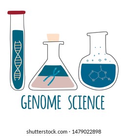 Three test tubes with helix DNA, chromosome, nucleotides. Genome science text. Genetic engineering and gene sequencing concept. Colorful doodle vector illustration in trendy cartoon style.