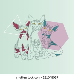 Three thin line cats with geometric Shapes