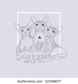 Three thin line cats with geometric Shapes