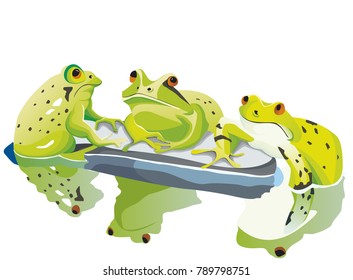 three toads talk on stone