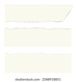 Three torn pieces of paper with a white background