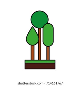 three tree natural foliage park plant forest