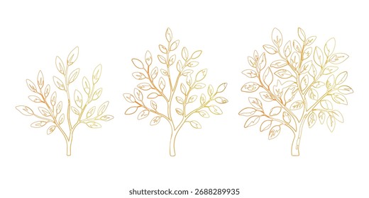 Three trees in autumnal sapling outline with gradient coloration isolated on white background. Tree line art, tree drawing, tree illustration.