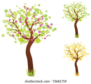 Three trees in different time of year - blossom, autumn and green trees