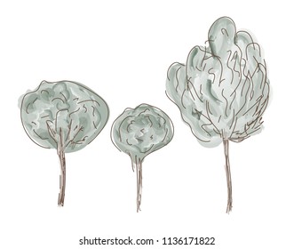 Three trees isolated on white background.
