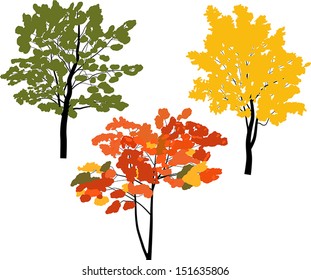 three trees isolated on white background