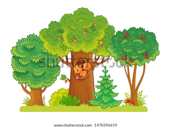 果実とどんぐりの入った空き地に3本の木が植えられている リスが窪みに座る 白い背景に木 森をテーマにした漫画風のベクターイラスト のベクター画像素材 ロイヤリティフリー