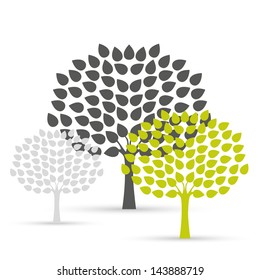 Three Trees on white background