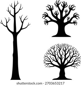 Tres árboles se muestran en blanco y negro. El primer árbol es alto y no tiene hojas