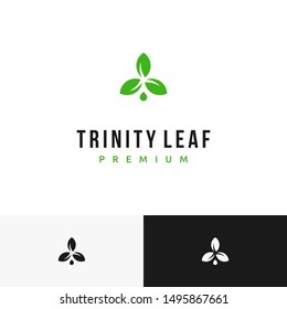 three or trinity leaves with water drop on the bottom logo design inspiration