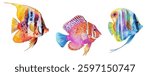 Three tropical fish vector illustration in mesmerizing blend of colors.