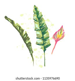 Three tropical leaves. Hand drawn leaves illustration on white background with watercolor splash effect for creating designs