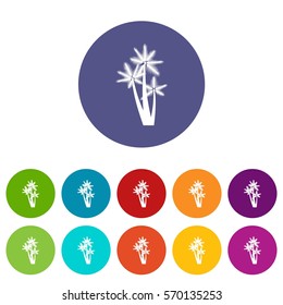 Three tropical palm trees set icons in different colors isolated on white background