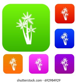 Three tropical palm trees set icon in different colors isolated vector illustration. Premium collection