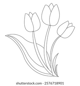 Three Tulip flowers with a leaf on white background, Continuous Outline hand drawn Vector flower, Editable stroke. 