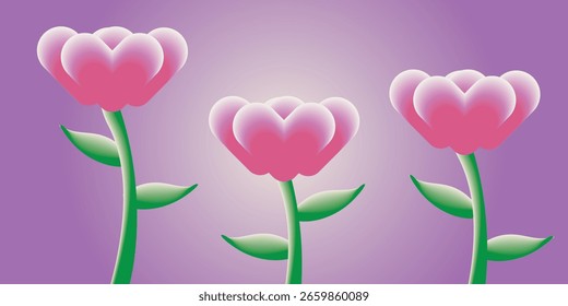 Três flores tulipa no fundo roxo rosa