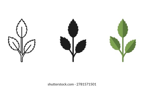 Three tulip plants shown