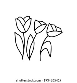 Tres Tulips vector negro y blanco aislado ilustración en estilo doodle, flor, regalo de vacaciones, primavera y temporada de verano. Ramo dibujado a mano