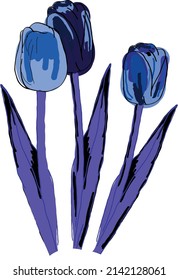 Tres tulipanes en tonos azul frío. Archivo vector.