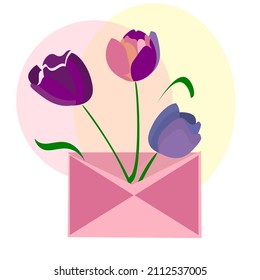 Tres tulipanes en un sobre sobre de fondo blanco, ilustración plana de colores violeta de moda