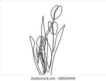 Three tulips. Flowers. Continuous line