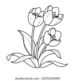 Three tulips flowers outlined for coloring book isolated on white background