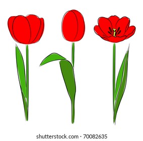 Three Tulips in hand drawn style , vector