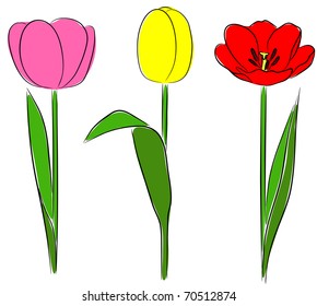 Three Tulips in hand drawn style , vector