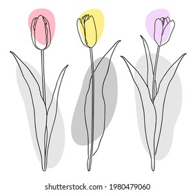 Drei Tulpen von einer schwarzen Linie auf einem Hintergrund von farbigen abstrakten Flecken. Vektorgrafik-Konzept einzeln auf weißem Hintergrund.