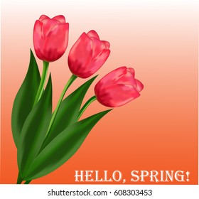 Three tulips on an orange background