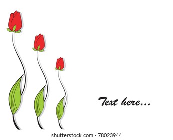  three tulips on the white background