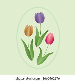 Drei Tulpen auf ovalem Hintergrund