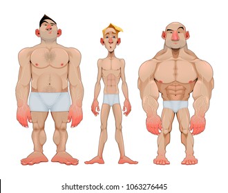 Three types of caricatural male anatomies. Vector funny isolated characters.