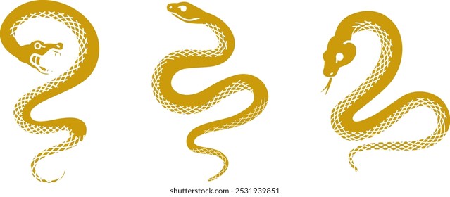 Three types of different shapes of snakes - Year of the Snake 2025 clip art set.