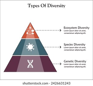 Three types of diversity - Ecosystem, Species, Genetic Diversity. Infographic template with icons