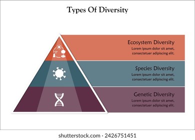 Three types of diversity - Ecosystem, Species, Genetic Diversity. Infographic template with icons