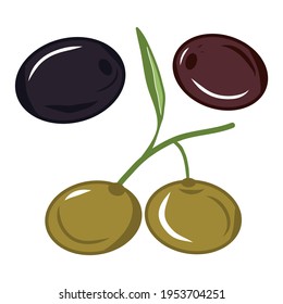 Three types of olives icons. Illustrations. Colorful sketch. Idea for decors, logo, patterns, papers, covers, gifts, summer and autumn holidays, floral natural themes. Isolated vector art.