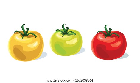 three types red yellow green tomatoes cherry realistic symbol icon on white background