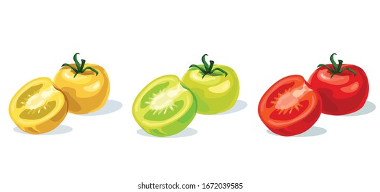 tres tipos de tomates verdes amarillos rojos mitad cortar cherry símbolo realista icono de fondo blanco