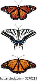 three types of vector illustrated butterflies