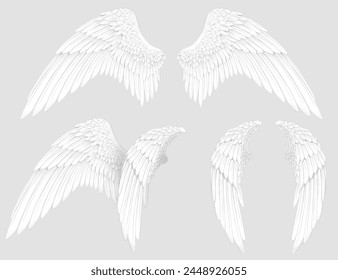 Three types of white wings that can be used not only as graphic materials, but also as symbols and emblems.