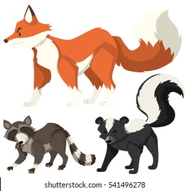 Three types of wild animals on white illustration