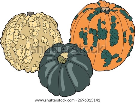  Three Unusual Pumpkins with Warty and Ribbed Surfaces: One Light Yellow Warty, One Orange with Green Warts, and One Blue-Green Ribbed