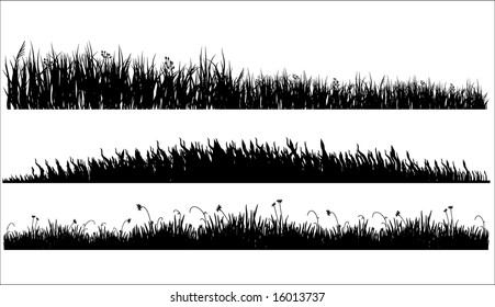 three variants of black silhouette of a meadow grass on a white background