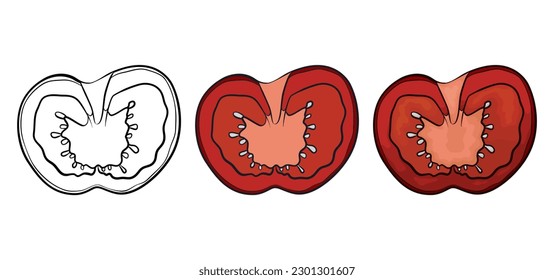 Three variations of a sliced tomato: one in outlines for coloring, other in flat colors and the last one in cartoon style.