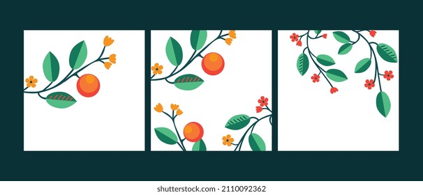 Three vector backgrounds with fruits and flowers