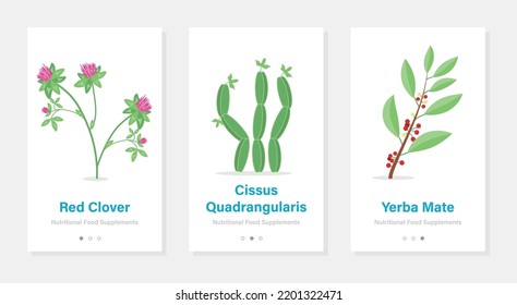 Three vector banners of food suplements. Isolated vertical onboarding templates with botanical pictures