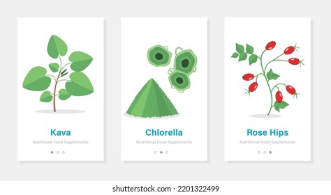 Three vector banners of food suplements. Isolated vertical onboarding templates with botanical pictures